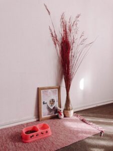 How to Set Up a Cozy and Practical Pet-Friendly Home Corner